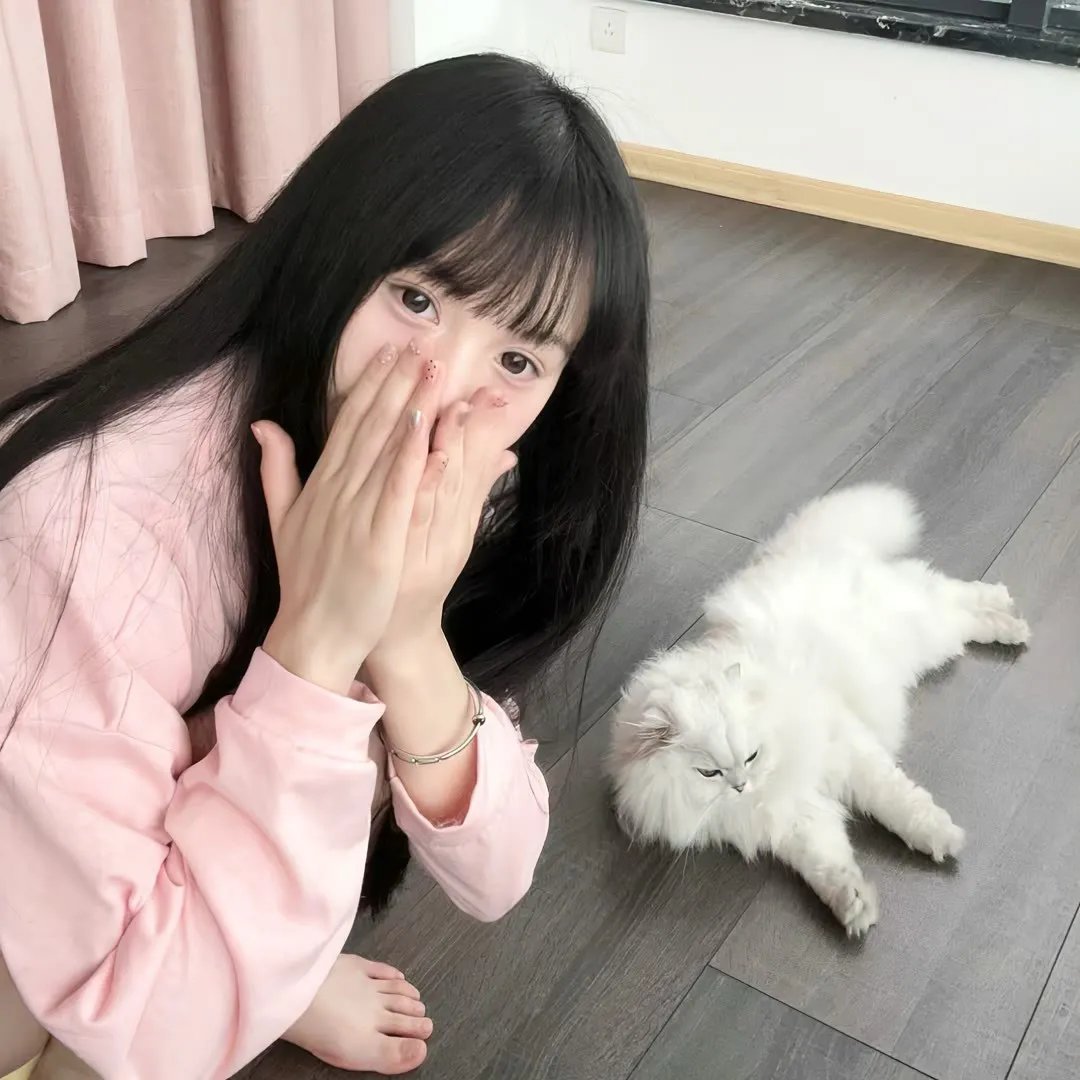 美味情缘国语