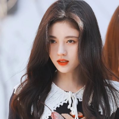 怒放的花儿